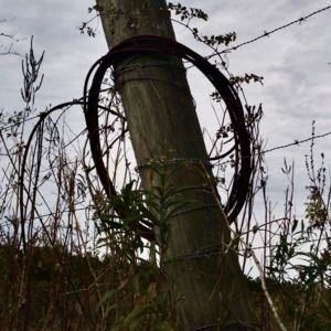 Meet your Posher, Jami